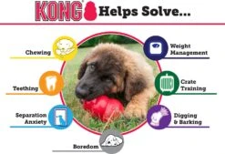 Kong Hondenspeelgoed Extreme Zwart D 9 H 12,5 Cm -Beeztees || ROYAL CANIN || FLEXI Verkoopwinkel 0035585111025 3