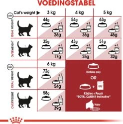 Royal Canin Kattenvoer Fit 32 4 Kg -Beeztees || ROYAL CANIN || FLEXI Verkoopwinkel 3182550702225 4