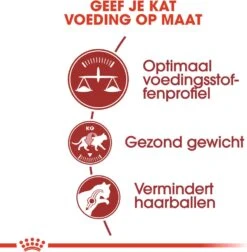 Royal Canin Kattenvoer Fit 32 10 Kg -Beeztees || ROYAL CANIN || FLEXI Verkoopwinkel 3182550702249 3