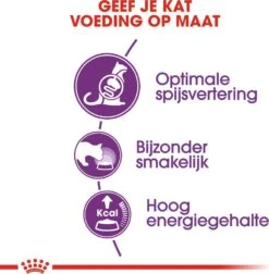 Royal Canin Kattenvoer Sensible 33 2 Kg -Beeztees || ROYAL CANIN || FLEXI Verkoopwinkel 3182550702317 3