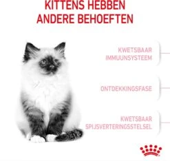 Royal Canin Kattenvoer Kitten 2 Kg -Beeztees || ROYAL CANIN || FLEXI Verkoopwinkel 3182550702423 3