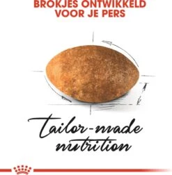 Royal Canin Kattenvoer Persian Adult 2 Kg -Beeztees || ROYAL CANIN || FLEXI Verkoopwinkel 3182550702614 3