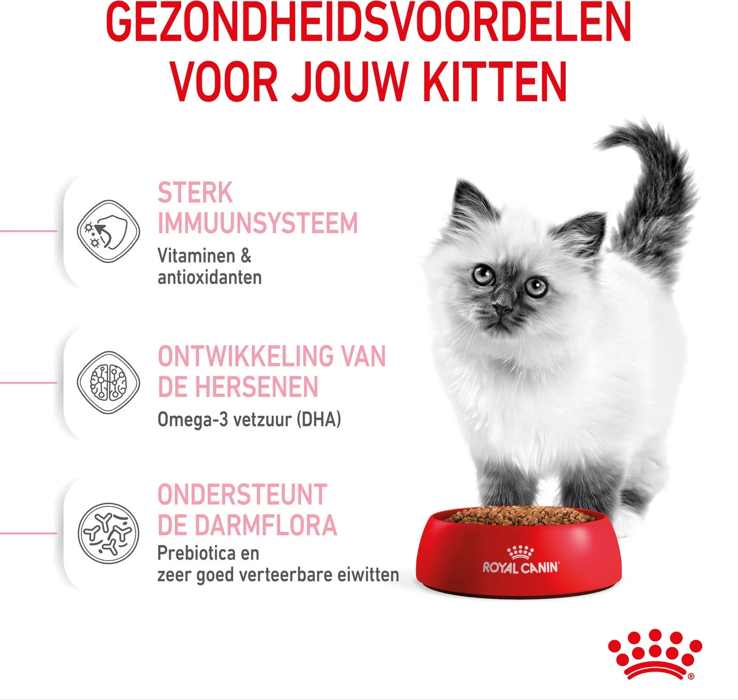 Royal Canin Kattenvoer Kitten 10 Kg 6 Royal Canin Kattenvoer Kitten 10 Kg - Afbeelding 4