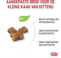 Royal Canin Kattenvoer Kitten 10 Kg 11 Royal Canin Kattenvoer Kitten 10 Kg -Beeztees || ROYAL CANIN || FLEXI Verkoopwinkel 3182550702973 5