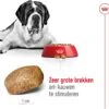 Royal Canin Hondenvoer Giant Adult 15 Kg