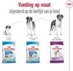 Royal Canin Hondenvoer Giant Adult 15 Kg -Beeztees || ROYAL CANIN || FLEXI Verkoopwinkel 3182550703079 3