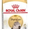 Royal Canin Kattenvoer Persian Adult 4 Kg -Beeztees || ROYAL CANIN || FLEXI Verkoopwinkel 3182550704533 1