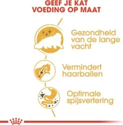 Royal Canin Kattenvoer Persian Adult 4 Kg -Beeztees || ROYAL CANIN || FLEXI Verkoopwinkel 3182550704533 4