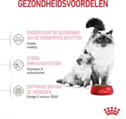 Royal Canin Kattenvoer Mother En Babycat 2 Kg -Beeztees || ROYAL CANIN || FLEXI Verkoopwinkel 3182550707312 4