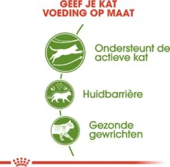 Royal Canin Kattenvoer Outdoor 2 Kg -Beeztees || ROYAL CANIN || FLEXI Verkoopwinkel 3182550707374 3