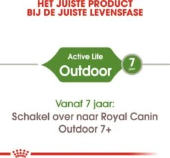 Royal Canin Kattenvoer Outdoor 10 Kg -Beeztees || ROYAL CANIN || FLEXI Verkoopwinkel 3182550707398 4
