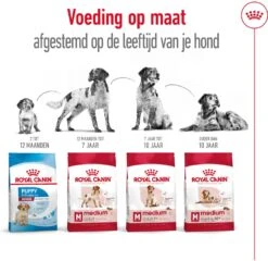Royal Canin Medium Adult 7+ 4 Kg 10 Royal Canin Medium Adult 7+ 4 Kg -Beeztees || ROYAL CANIN || FLEXI Verkoopwinkel 3182550708203 3