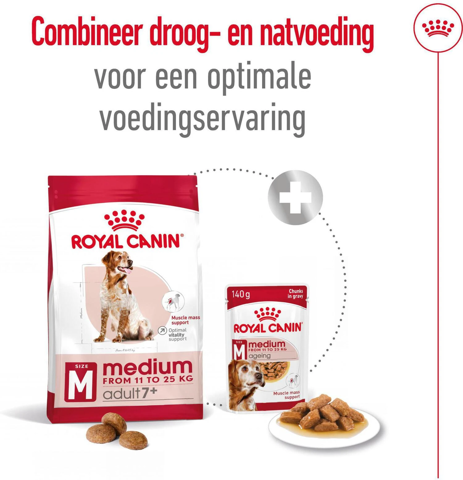 Royal Canin Medium Adult 7+ 4 Kg 6 Royal Canin Medium Adult 7+ 4 Kg - Afbeelding 4