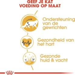 Royal Canin Kattenvoer Maine Coon Adult 4 Kg -Beeztees || ROYAL CANIN || FLEXI Verkoopwinkel 3182550710657 4