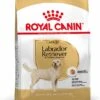 Royal Canin Hondenvoer Labrador Retriever Adult 12 Kg -Beeztees || ROYAL CANIN || FLEXI Verkoopwinkel 3182550715645 1