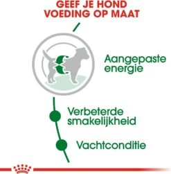 Royal Canin Hondenvoer Mini Adult 8 Kg -Beeztees || ROYAL CANIN || FLEXI Verkoopwinkel 3182550716888 3