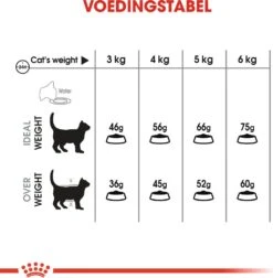 Royal Canin Kattenvoer Oral Care 1,5 Kg -Beeztees || ROYAL CANIN || FLEXI Verkoopwinkel 3182550717182 4