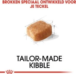 Royal Canin Hondenvoer Dachshund Adult 1,5 Kg -Beeztees || ROYAL CANIN || FLEXI Verkoopwinkel 3182550717335 3 1