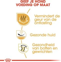 Royal Canin Hondenvoer Bulldog Adult 3 Kg -Beeztees || ROYAL CANIN || FLEXI Verkoopwinkel 3182550719797 4