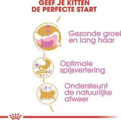 Royal Canin Kattenvoer Persian Kitten 2 Kg -Beeztees || ROYAL CANIN || FLEXI Verkoopwinkel 3182550721219 5