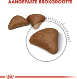 Royal Canin Kattenvoer Hairball Care 2 Kg -Beeztees || ROYAL CANIN || FLEXI Verkoopwinkel 3182550721400 2