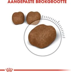 Royal Canin Kattenvoer Oral Care 3,5 Kg -Beeztees || ROYAL CANIN || FLEXI Verkoopwinkel 3182550721615 2