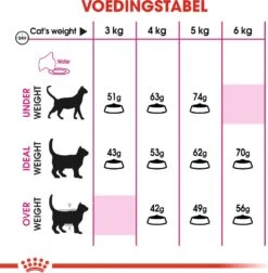 Royal Canin Kattenvoer Savour Exigent 10 Kg -Beeztees || ROYAL CANIN || FLEXI Verkoopwinkel 3182550721660 4