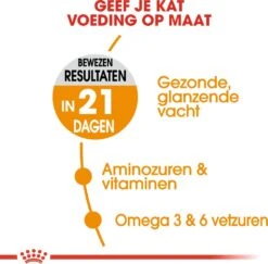 Royal Canin Kattenvoer Hair & Skin Care 2 Kg -Beeztees || ROYAL CANIN || FLEXI Verkoopwinkel 3182550721738 3