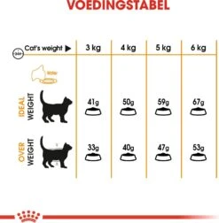 Royal Canin Kattenvoer Hair En Skin Care 4 Kg -Beeztees || ROYAL CANIN || FLEXI Verkoopwinkel 3182550721745 4