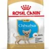 Royal Canin Hondenvoer Chihuahua Puppy 1,5 Kg -Beeztees || ROYAL CANIN || FLEXI Verkoopwinkel 3182550722544 3