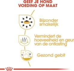 Royal Canin Hondenvoer Chihuahua Adult 1,5 Kg -Beeztees || ROYAL CANIN || FLEXI Verkoopwinkel 3182550728102 4