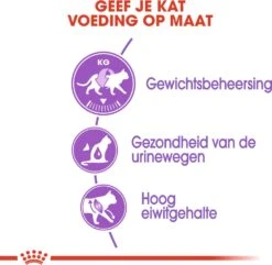 Royal Canin Kattenvoer Sterilised 37 2 Kg -Beeztees || ROYAL CANIN || FLEXI Verkoopwinkel 3182550737593 3