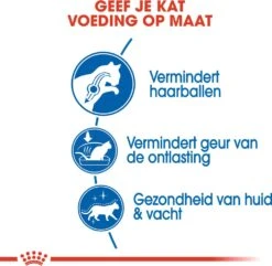 Royal Canin Kattenvoer Indoor Long Hair 10 Kg -Beeztees || ROYAL CANIN || FLEXI Verkoopwinkel 3182550739429 3