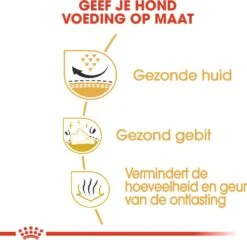 Royal Canin Hondenvoer Shih Tzu Adult 1,5 Kg -Beeztees || ROYAL CANIN || FLEXI Verkoopwinkel 3182550743228 4