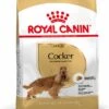 Royal Canin Hondenvoer Cocker Adult 3 Kg -Beeztees || ROYAL CANIN || FLEXI Verkoopwinkel 3182550743709 1