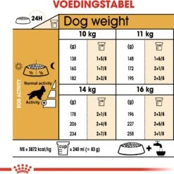Royal Canin Hondenvoer Cocker Adult 3 Kg -Beeztees || ROYAL CANIN || FLEXI Verkoopwinkel 3182550743709 5
