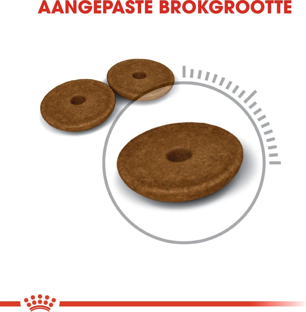 Royal Canin Kattenvoer Digestive Care 2 Kg 4 Royal Canin Kattenvoer Digestive Care 2 Kg - Afbeelding 2