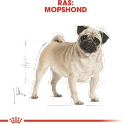 Royal Canin Hondenvoer Pug (mopshond) Adult 1,5 Kg -Beeztees || ROYAL CANIN || FLEXI Verkoopwinkel 3182550752404 2 1