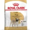 Royal Canin Hondenvoer Pug (mopshond) Adult 1,5 Kg -Beeztees || ROYAL CANIN || FLEXI Verkoopwinkel 3182550752404 3