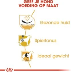 Royal Canin Hondenvoer Pug (mopshond) Adult 1,5 Kg -Beeztees || ROYAL CANIN || FLEXI Verkoopwinkel 3182550752404 4