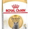 Royal Canin Kattenvoer British Shorthair Adult 4 Kg