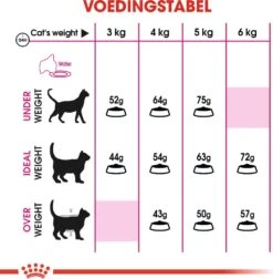 Royal Canin Kattenvoer Aroma Exigent 4 Kg -Beeztees || ROYAL CANIN || FLEXI Verkoopwinkel 3182550767354 4