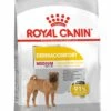 Royal Canin Hondenvoer Dermacomfort Medium 3 Kg -Beeztees || ROYAL CANIN || FLEXI Verkoopwinkel 3182550773829 1