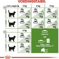 Royal Canin Kattenvoer Outdoor 7+ 4 Kg -Beeztees || ROYAL CANIN || FLEXI Verkoopwinkel 3182550784481 5