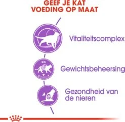 Royal Canin Kattenvoer Sterilised 7+ 1,5 Kg -Beeztees || ROYAL CANIN || FLEXI Verkoopwinkel 3182550784566 3
