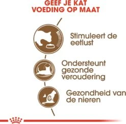 Royal Canin Kattenvoer Ageing 12+ 4 Kg -Beeztees || ROYAL CANIN || FLEXI Verkoopwinkel 3182550786225 3