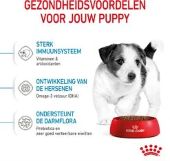 Royal Canin Hondenvoer Mini Puppy 4 Kg -Beeztees || ROYAL CANIN || FLEXI Verkoopwinkel 3182550793032 4