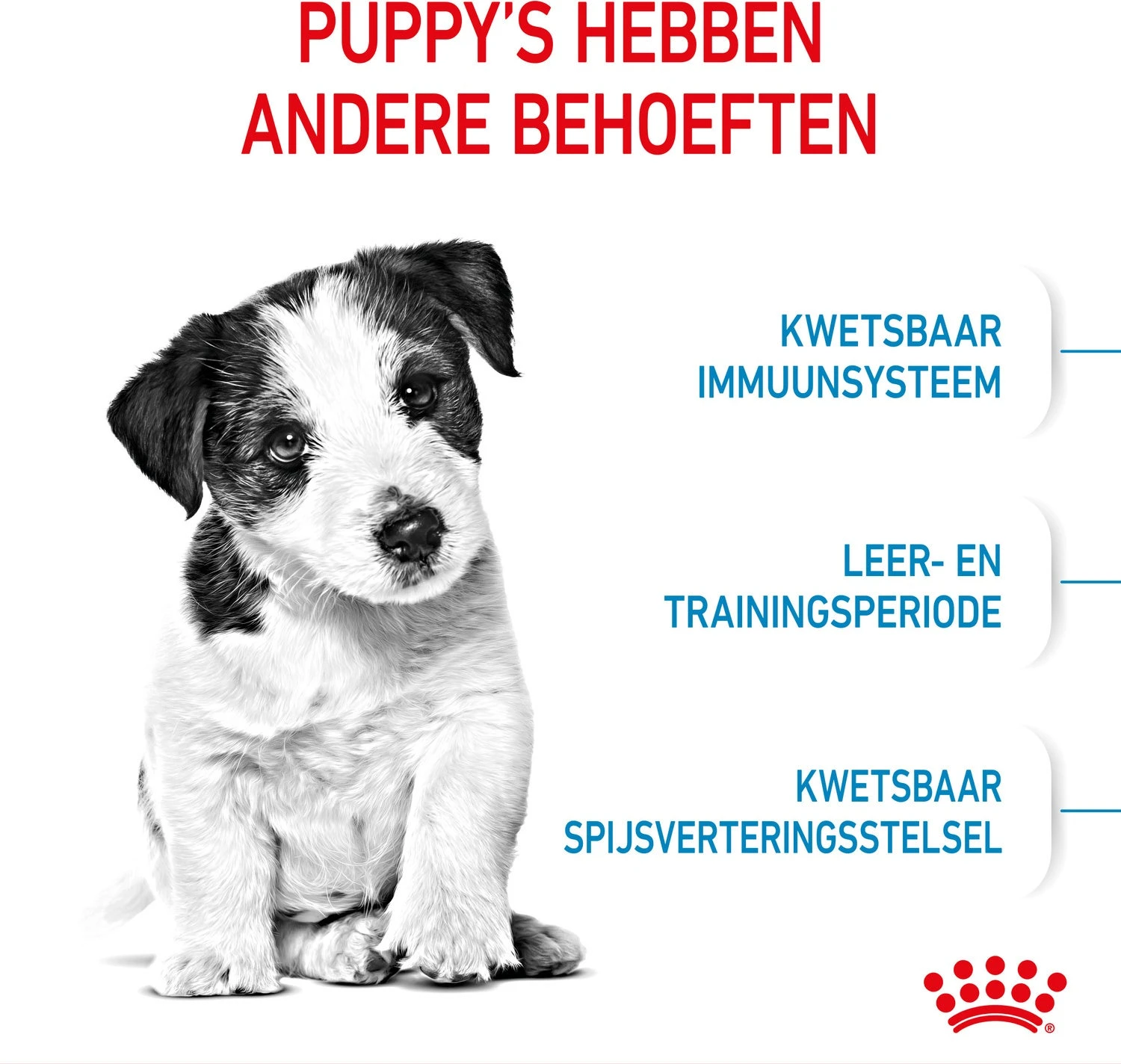 Royal Canin Hondenvoer Mini Puppy 8 Kg 5 Royal Canin Hondenvoer Mini Puppy 8 Kg - Afbeelding 3