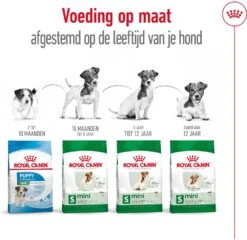 Royal Canin Hondenvoer Mini Ageing 12+ 3,5 Kg -Beeztees || ROYAL CANIN || FLEXI Verkoopwinkel 3182550793582 5