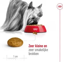 Royal Canin Hondenvoer X-Small Adult 1,5 Kg -Beeztees || ROYAL CANIN || FLEXI Verkoopwinkel 3182550793728 4